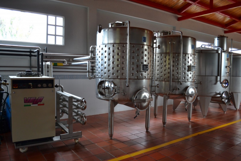 cave-BEAULIEU SUR MER-min_wine_production_cantine_winery_drink_alcohol_vine_beverage-902036